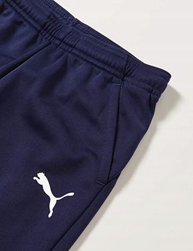 Puma spodnie dresowe męskie niebieski rozmiar L na Arena.pl