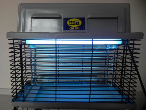 Lampa Rażąca CRI CRI 309 na Arena.pl