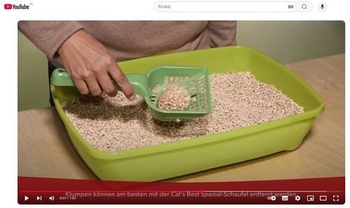 Cat's Best Original Żwirek dla kota zbrylający drewniany 20l Ekologiczny na Arena.pl