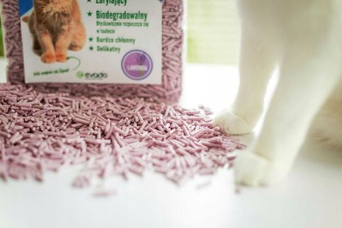 Żwirek dla kota tofu Leo zbrylający biodegradowalny eko 2,5 kg lawenda na Arena.pl