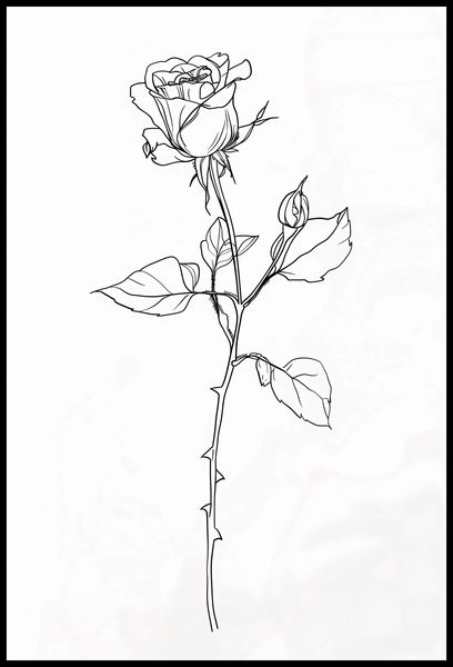 Plakat 68x101cm Kontur Róży zdjęcie 2