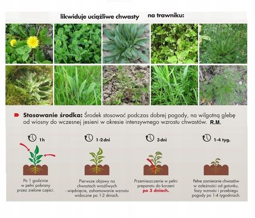 Starane Trawniki na Chwasty w Trawnikach, Boiskach NIE NISZCZY TRAWY 100ml na Arena.pl