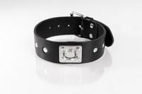 obroża z ćwiekami czarna l primal bond whips