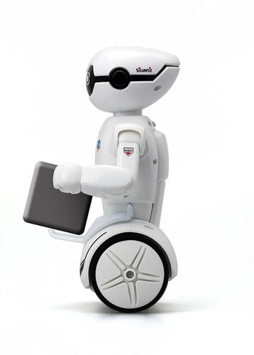 Silverlit - Robot Macrobot 88045A na Arena.pl