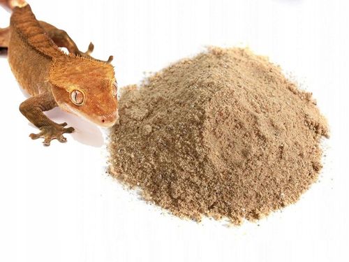 Gecko Nutrition - Wysoka zawartość owadów 50g| ORYGINAŁ - papka, na Arena.pl