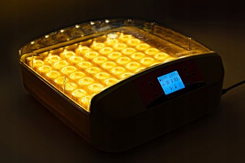 INKUBATOR AUTOMATYCZNY OVO do 56 JAJ wylęgarka klujnik + PRZEŚWIETLARKA na Arena.pl