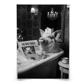 PLAKAT DO ŁAZIENKI ŚWINIA Z GAZETĄ W WANNIE ABSTRAKCJA GLAMOUR 50cm x 70cm