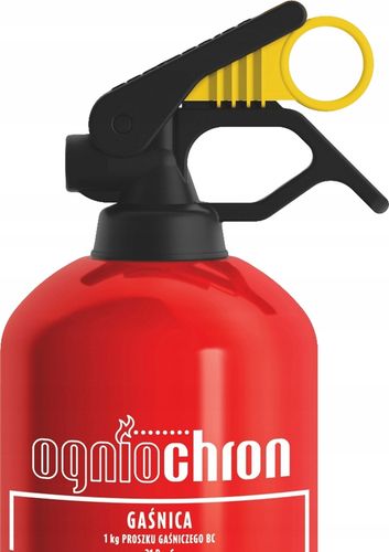 gasnica proszkowa 1kg na Arena.pl