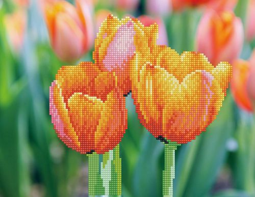 diamond dotz adults love tulips 5520 na Arena.pl