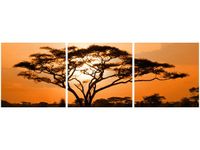 product-compare-58647304