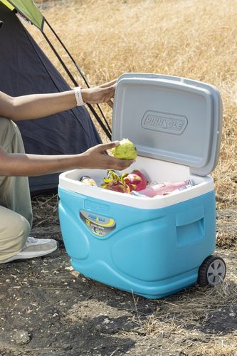 Lodówka Turystyczna na kółkach na wkłady mrożące 30L PINNACLE Prudence na Arena.pl