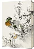 Obraz 40x60cm Mallard and Willow, Kashu Japoński Vintage
