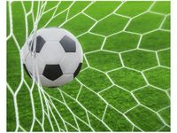 40X50CM PIŁKA BRAMCE OBRAZ