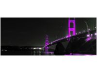 100X40CM VIOLET GOLDEN BRIDGE TANEL TEEMUSK OBRAZ DREWNO