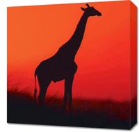 Obraz 50x50cm Żyrafa w Czerni