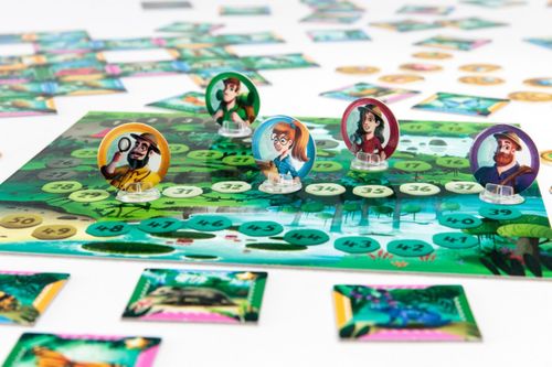 Gra Odkrywcy: Amazonia na Arena.pl