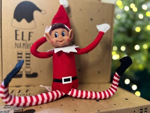 Elf na półce z drucikami - chłopiec Elve's Behavin Badly, psotnik 30 cm na Arena.pl