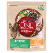 PURINA ONE Mini Active Kurczak, ryż - sucha karma dla psa - 800g