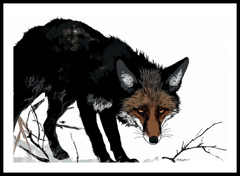Plakat 66,5x46,5cm Nieufny Lis zdjęcie 3