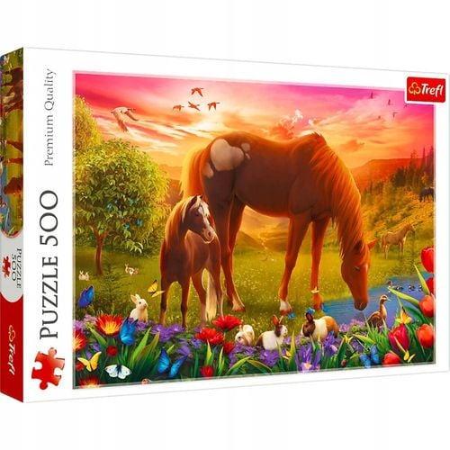 puzzle 500 konie na łące 37451 na Arena.pl