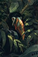 Plakat 61x90,5cm Skryty Tukan