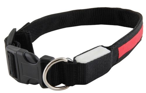 Obroża LED czerwona - M na Arena.pl