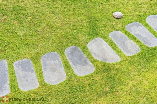 SIARCZAN ŻELAZA II ANTYMECH NAWÓZ DO TRAWY CZYSTY NIEZBRYLONY 25kg na Arena.pl