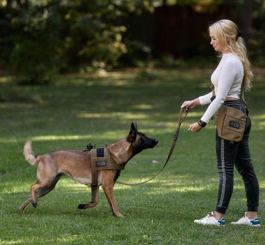 Szelki patrolowe Bravo, rozm. XL zdjęcie 4