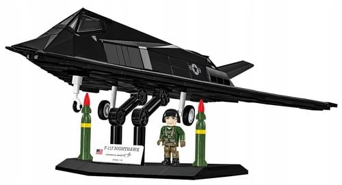 Armed Forces F-117(R) Nighthawk(R) na Arena.pl