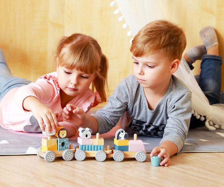 Viga 44015 PolarB Pociąg zdjęcie 6