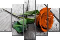 product-compare-58696080