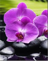 product-compare-58656609