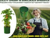 █▬█ █ ▀█▀  Cylindry do POMIDORÓW uprawa na działce w ogródku 22x22