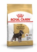 Royal Canin Adult 3kg karma sucha dla psów rasy sznaucer miniaturowy