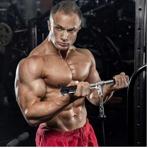 UCHWYT DRĄŻEK DO WYCIĄGU ATLASU OBROTOWY PROSTY GRYF 50CM NA BICEPS TRICEPS na Arena.pl