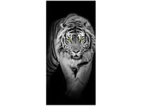 OBRAZ TIGER IN THE DARK