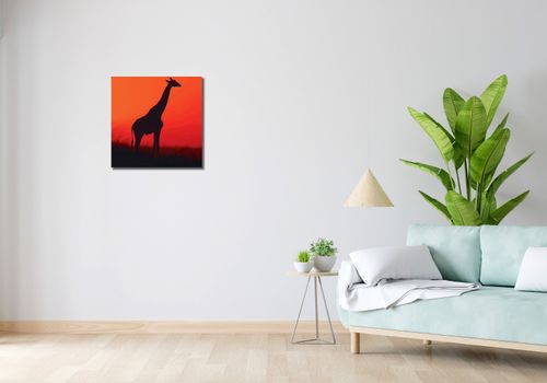 Obraz 50x50cm Żyrafa w Czerni na Arena.pl