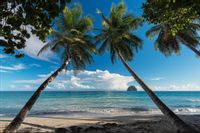 Fototapeta 3D Plaża Ocean Palmy NIEBO do Salonu 270x180