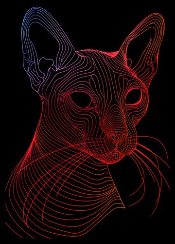 Plakat 29,7x42cm Cyfrowa Kocica na Arena.pl