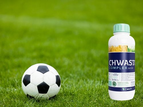 CHWASTOX COMPLEX 260EW środek chwastobójczy NA SZEROKI ZAKRES CHWASTÓW 1L na Arena.pl