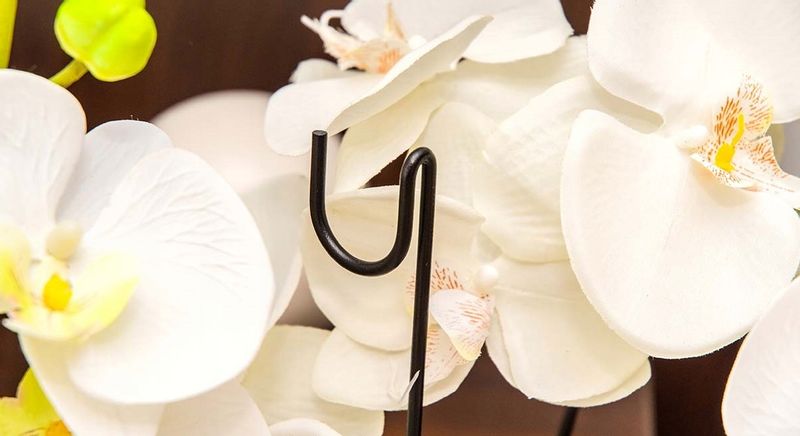 PODPÓRKA DO STORCZYKÓW PODPORA ROŚLIN 10szt 50cm zdjęcie 5