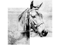 60X60CM KOŃ DWU OBRAZ ŚCIAN
