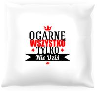 Poduszka -  Ogarnę wszystko