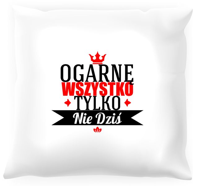 Poduszka - Ogarnę wszystko zdjęcie 1
