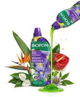 NAWÓZ ŻEL DO FIOŁKÓW BRATKÓW SKRZYDŁOKWIATÓW ANTURIUM STRELICJI KAWOWCA 1L