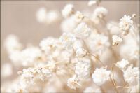 Tło PRODUKTOWE kulinarne Flat Lay na bloga insta