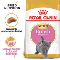 royal canin british shorthair kitten 2kg