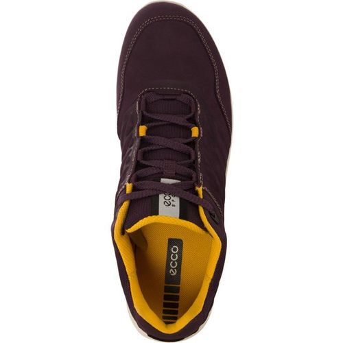 Ecco Exceed 276 r.38 na Arena.pl