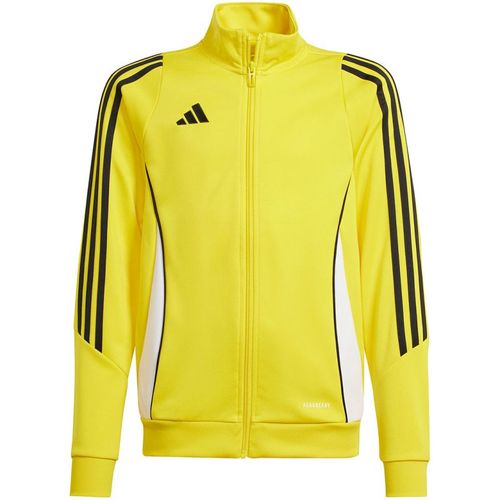 Bluza adidas Tiro 24 Training Jr IR9507 128cm na Arena.pl