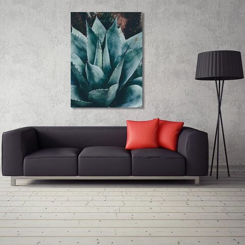 Obraz na płótnie - Canvas, Agawa 70x100 na Arena.pl